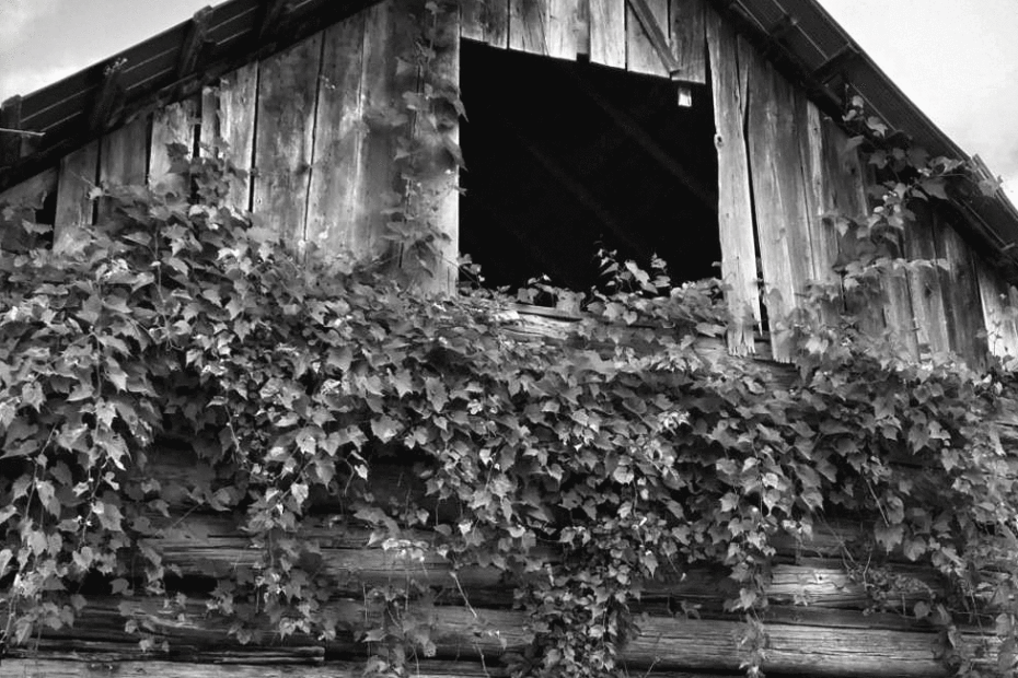 2.barn-framed